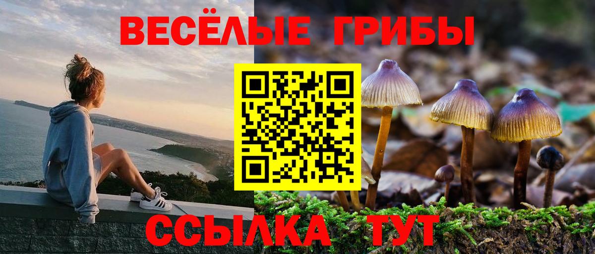 Галлюциногенные грибы ЛСД Урюпинск
