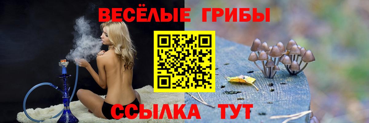 Урюпинск  Псилоцибиновые грибы MAGIC MUSHROOMS  Вход с VPN  Галлюциногенные грибы прущие грибы 